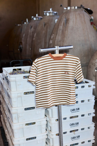 Remera Fuji Rayas Marrón - Remera | Ropa Revolver