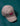Gorra Music Wins
