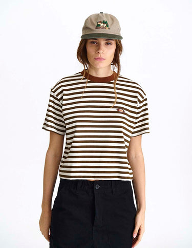 Remera Fuji Rayas Marrón - Remera | Ropa Revolver (foto 2)